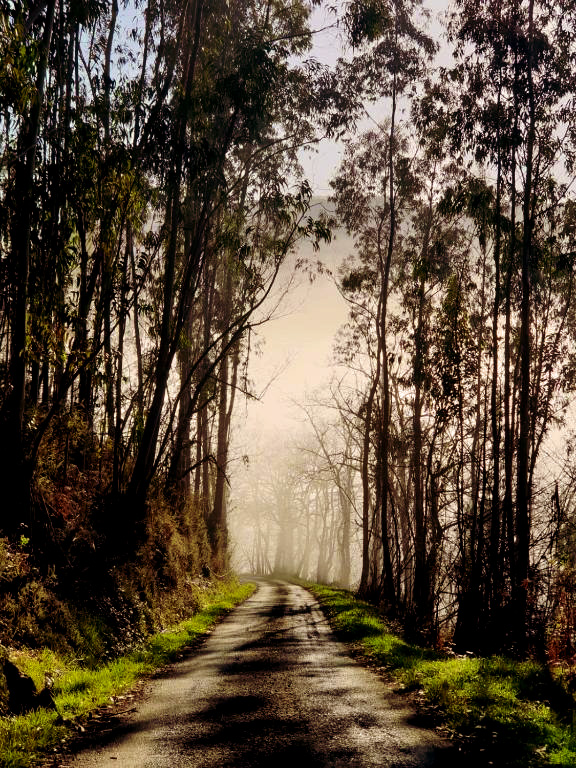 Paisajes | Granja Paraíso.
